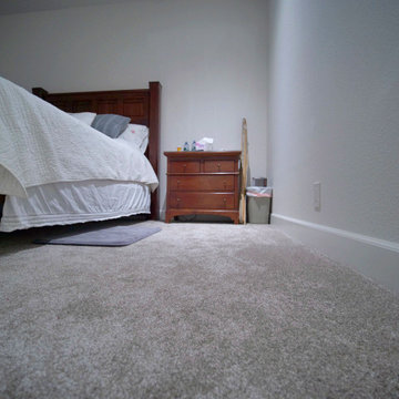 Modern Master Bedroom with Grey Carpet