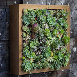 Vertical Gardens - Products