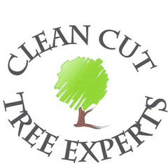 Clean Cut Tree Experts Inc