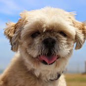Vicki Ngo's photo