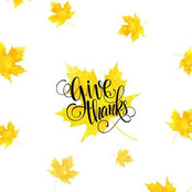 Nancy King's photo