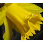 Tina Yates's photo