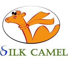 Silk Camel