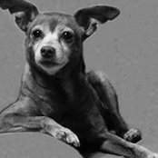 Foto von Judy Reiley