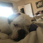 Michelle McCart-Duncan's photo