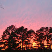 Nancy Waits's photo