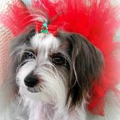 Kay Graves's photo