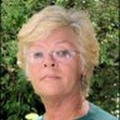 Sharon Light's photo