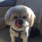 Michele Armstrong's photo