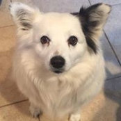 Aaron Teffeteller's photo