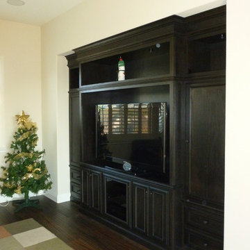 Entertainment Systems