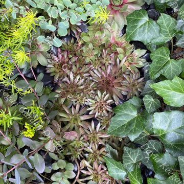 Roof garden
