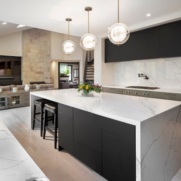 Urban Chic Kitchen Remodel in Oak Hill, Virginia