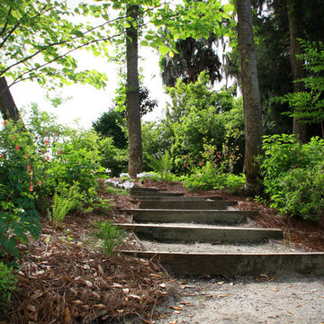 Native Plant Garden