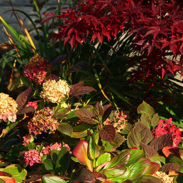 The Autumn Garden | Make it Alluring