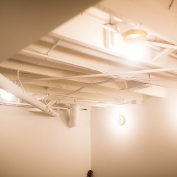 Nelson Basement Project