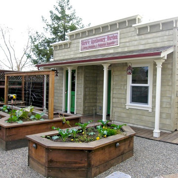 Garden Shed