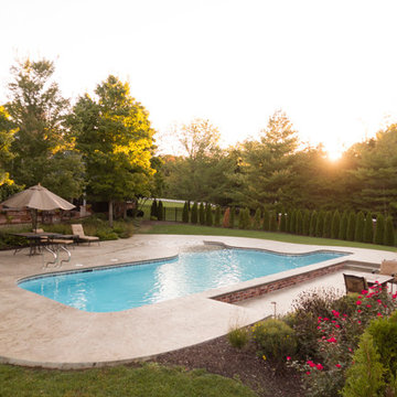 freeform beach entry with lap lane gunite pool