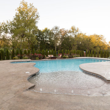 freeform beach entry with lap lane gunite pool