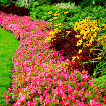 Seasonal Planting