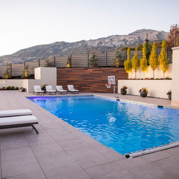 Pool With Water Fountains, Basketball Hoop And Rope Swing
