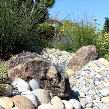 Rainwater Harvesting and Water Conserving