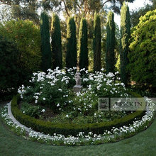 Rose garden