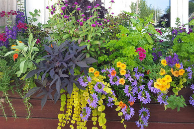 Inspiration for a coastal backyard landscaping in New York.