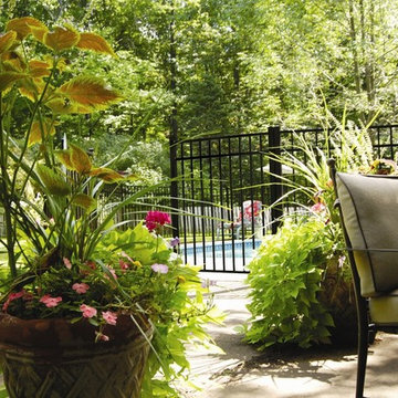 Pool Fences