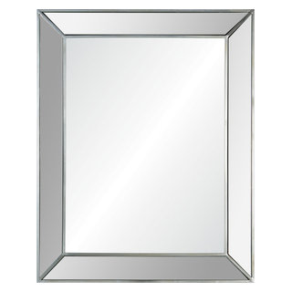 Ary Rectangle Mirror 40 X 50 X 2.75 - Transitional - Wall Mirrors - by Beyond Design & More | Houzz