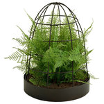 Picnic at Ascot - Asparagus Fern In Unique Planter - Artificial Asparagus Fern housed in a unique metal cage. Beautifully arranged with each leaf, stem, and frond individually crafted for a realistic look and form.