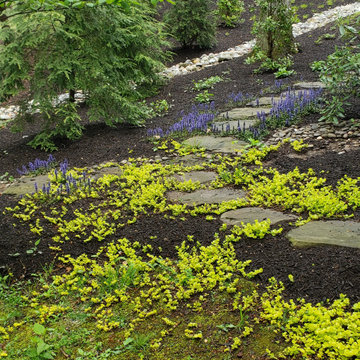 Pathways with low-growing plantings.