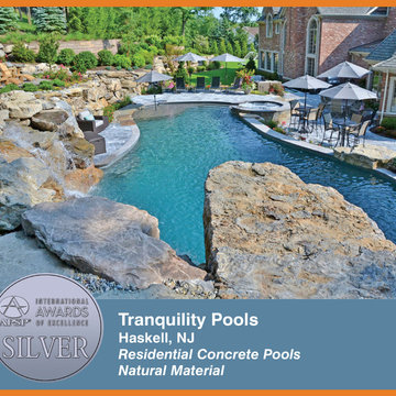 2014 APSP International Awards of Excellence