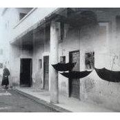 Claudia Cannatelli's photo