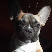 Kris Maclean's photo