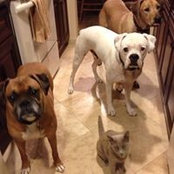 Kim Weisskopf's photo