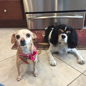 Nadine Reeves's photo
