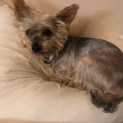 Yolanda Branca's photo