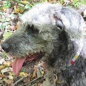 Barbara Barrie's photo