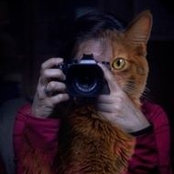 Elke Smidt's photo