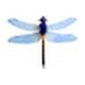 Judy Hyde's photo