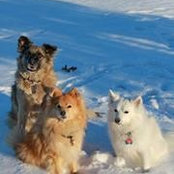 Foto von Mary Jene Howe-Giannini