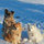 webuser_5716377