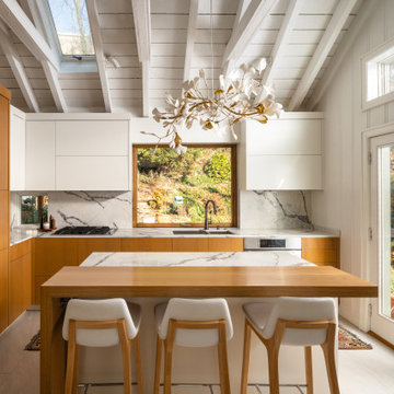 Contemporary Kitchen Addition to a Historic Hampden Home