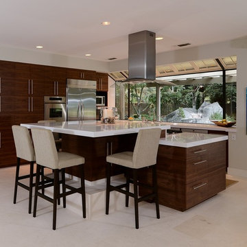 Sleek Modern Renovation