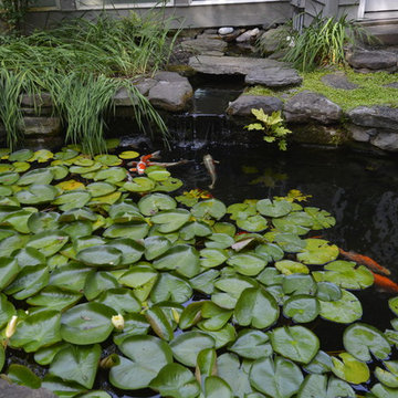 Beards Creek Residence