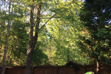 Tree Removal