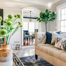 Living Room & Sofas