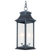 Vicksburg 2-Light 6.75" Wide Black Outdoor Hanging Lantern