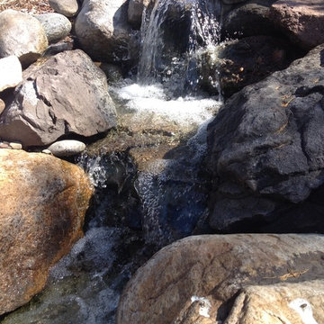 Backyard Fish Pond and Waterfall
